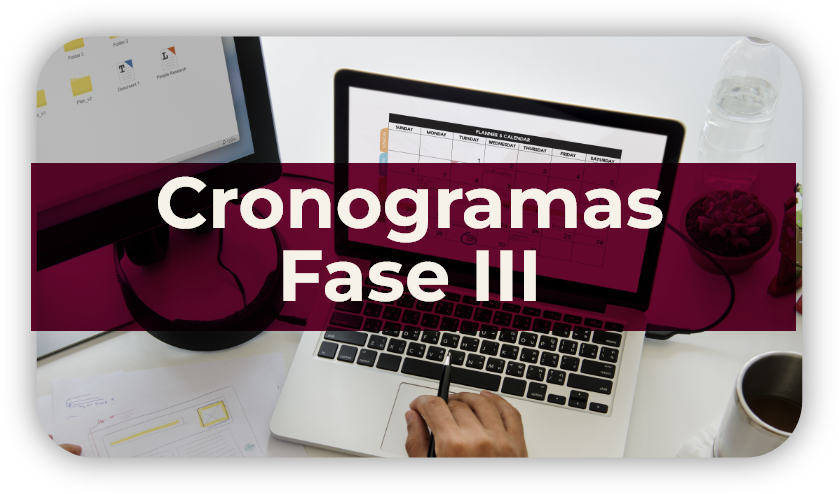cronograma22