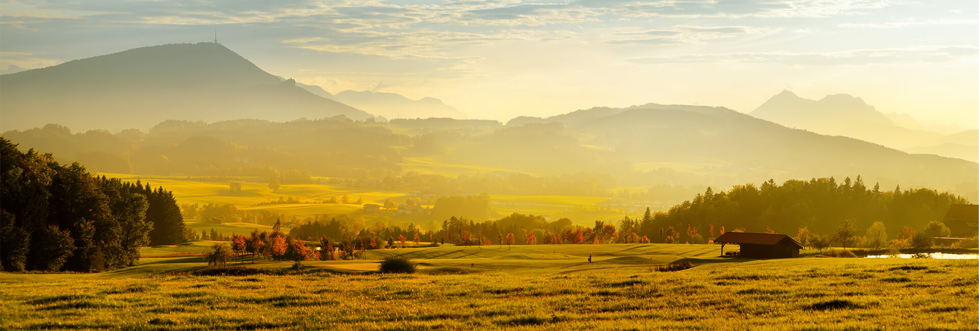 Módulo Virtual Inducción Especialidad Restitución de Tierras