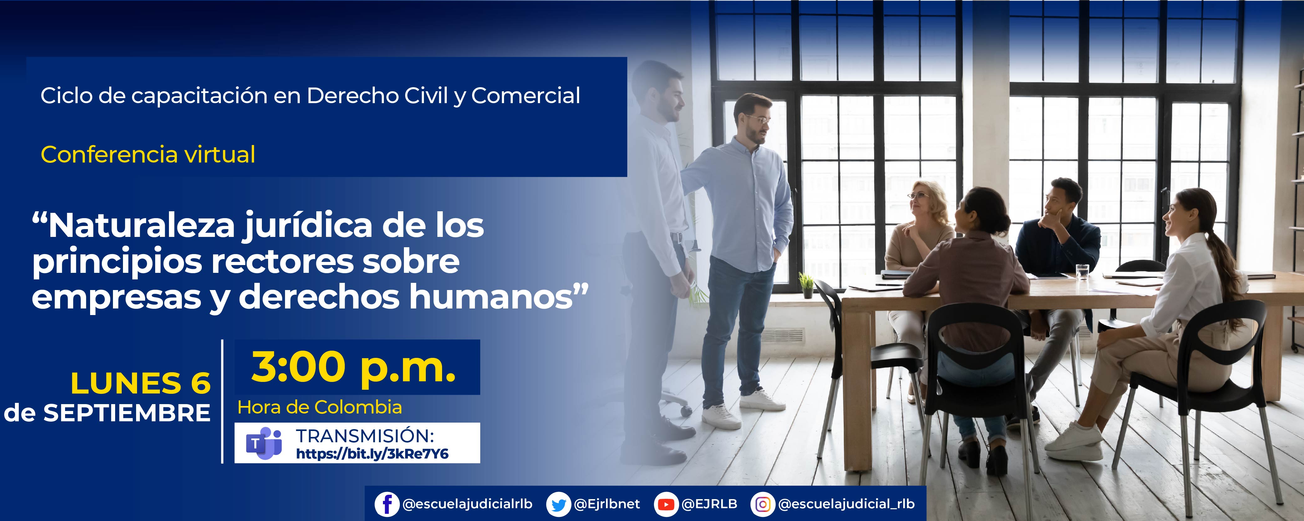 SEGUNDO CICLO DE CAPACITACIÓN JUDICIAL: “DERECHOS HUMANOS Y EMPRESAS: APROPIACIÓN JUDICIAL DEL NUEVO PARADIGMA”   4ª CONFERENCIA VIRTUAL:  “Naturaleza jurídica de los principios rectores sobre empresas y derechos humanos”