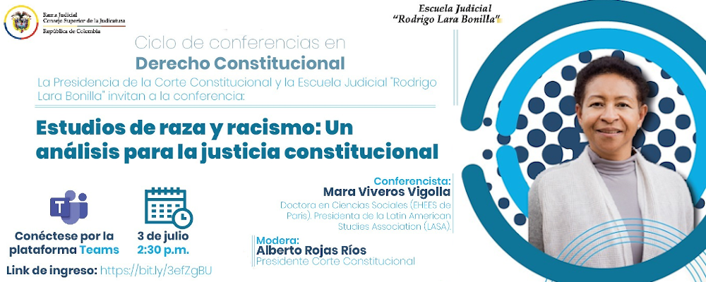 ESTUDIOS DE RAZA Y RACISMO: UN ANÁLISIS PARA LA JUSTICIA CONSTITUCIONAL