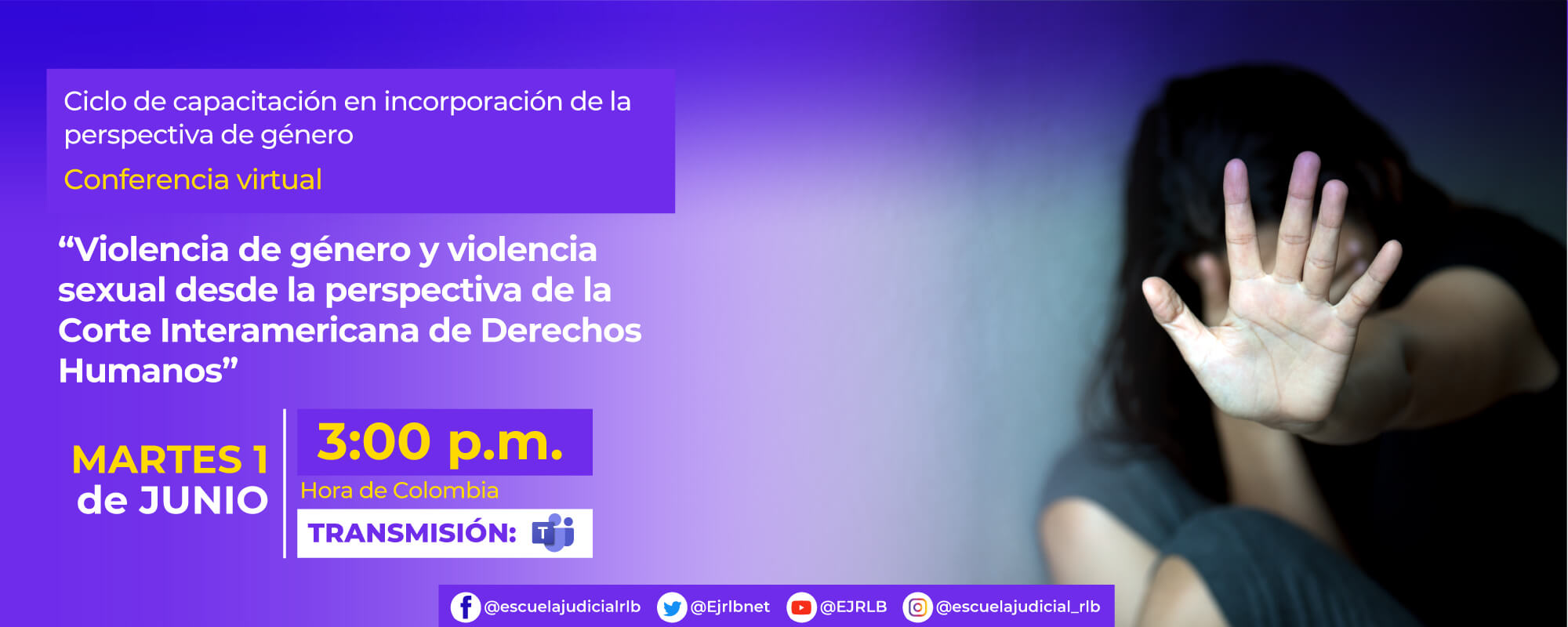 7a Conferencia Virtual: “Violencia de género y violencia sexual desde la perspectiva de la Corte Interamericana de Derechos Humanos”.