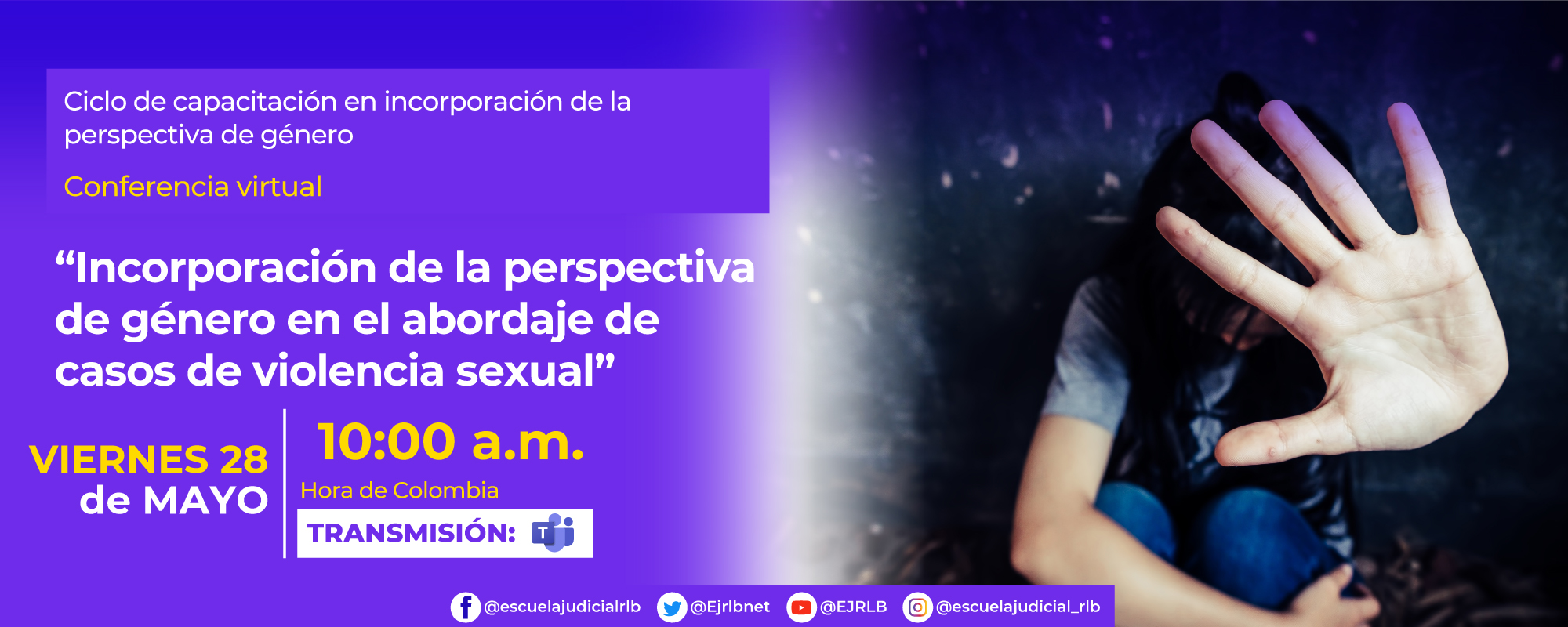 6a Conferencia Virtual: “Incorporación de la perspectiva de género en el abordaje de casos de violencia sexual”.