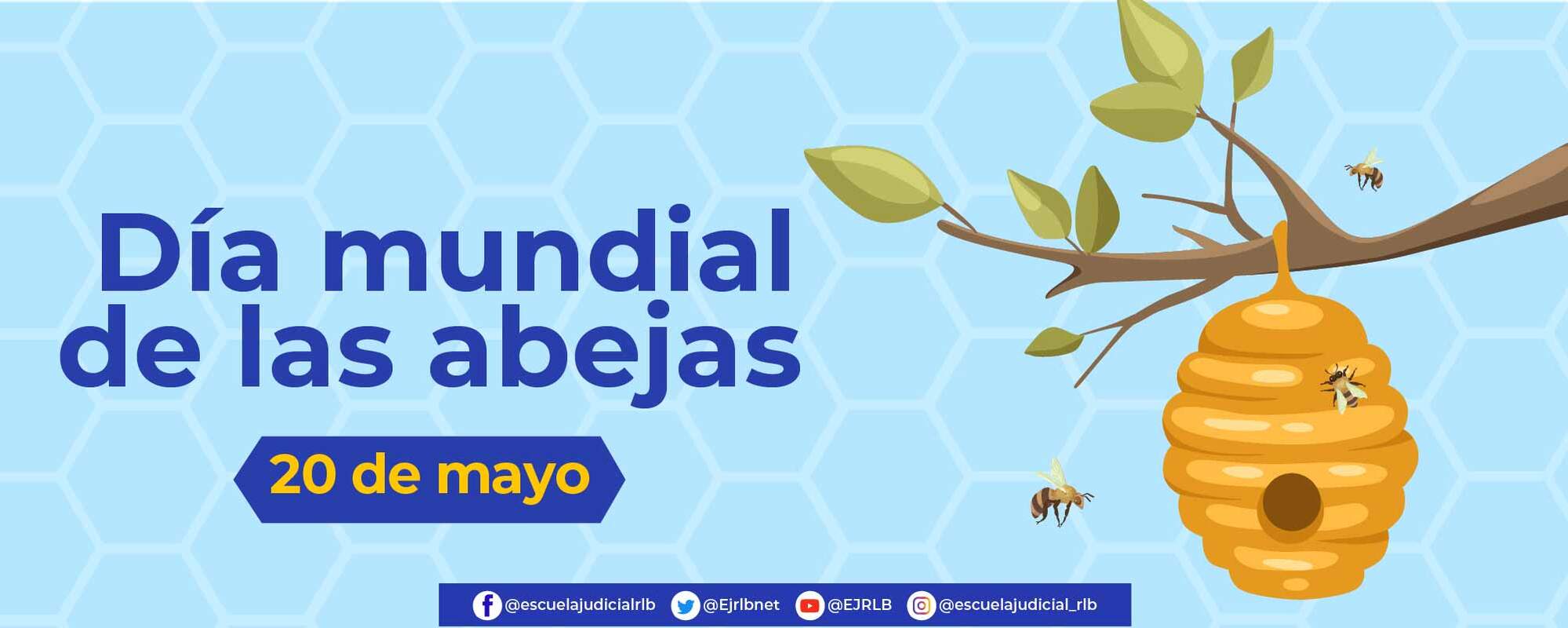 Día mundial de las Abejas