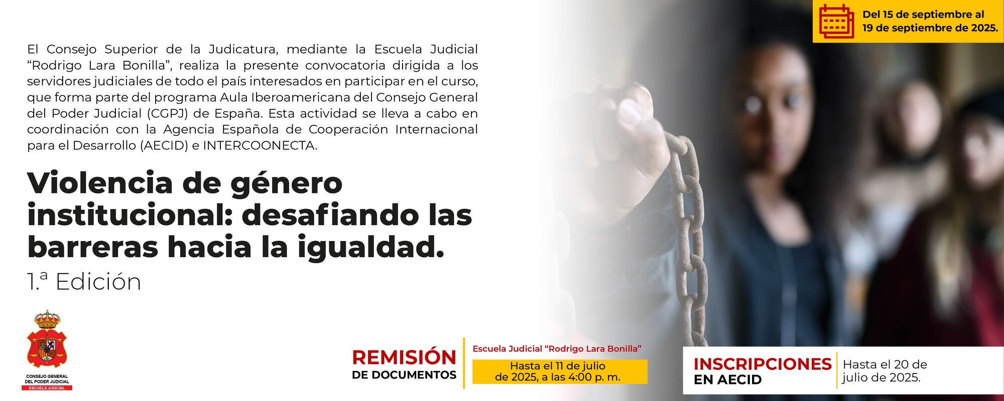 Violencia de género institucional: desafiando las barreras hacia la igualdad. 1.ª Edición. 