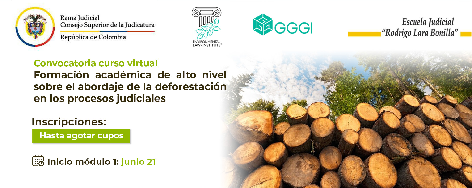CONVOCATORIA CURSO VIRTUAL  “FORMACIÓN ACADÉMICA DE ALTO NIVEL SOBRE EL ABORDAJE DE LA DEFORESTACIÓN EN LOS PROCESOS JUDICIALES”