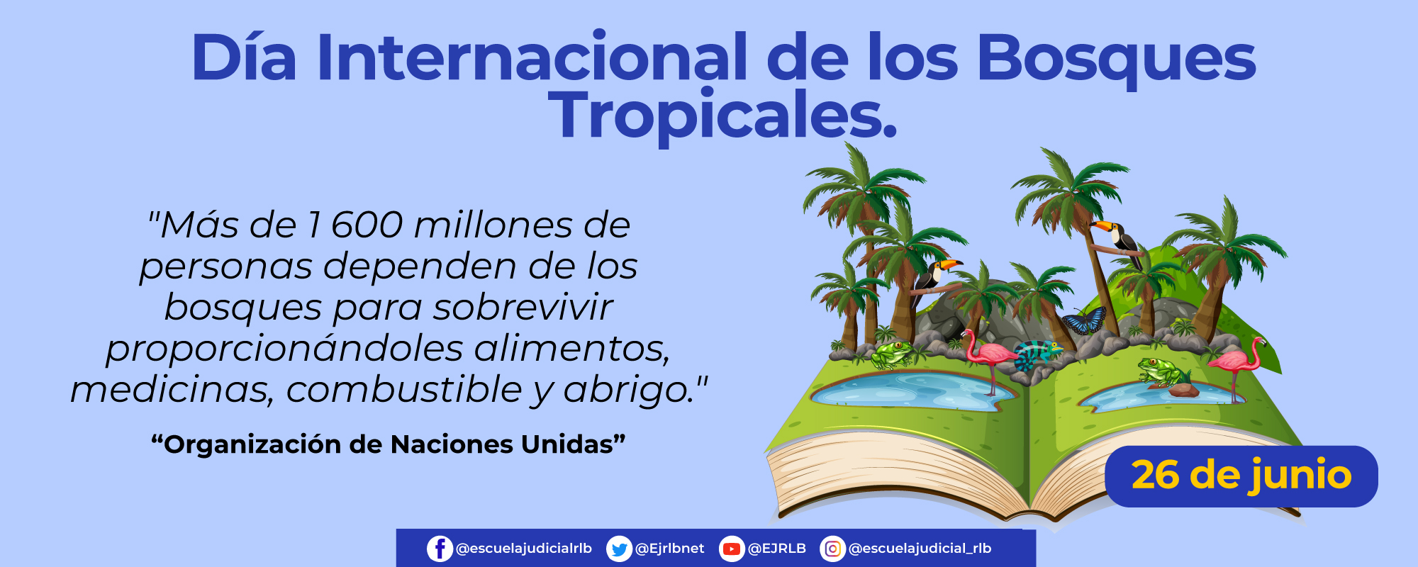Día Internacional de los Bosques Tropicales