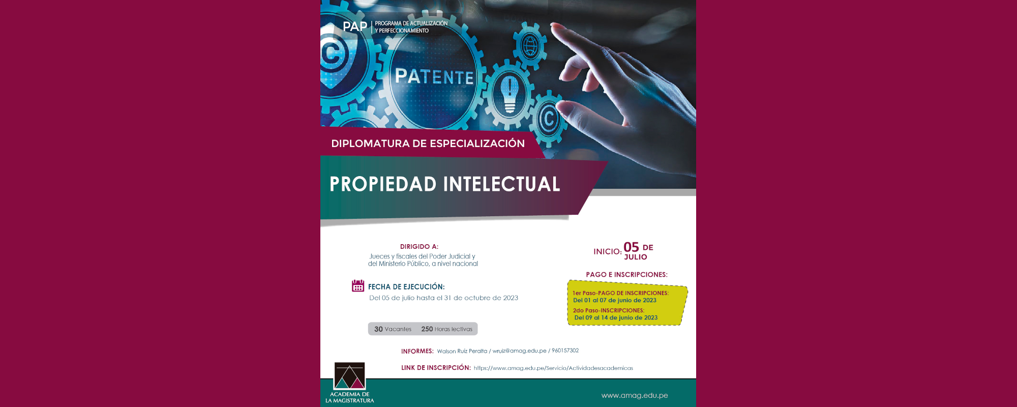 DIPLOMATURA DE ESPECIALIZACÍON EN PROPIEDAD INTELECTUAL