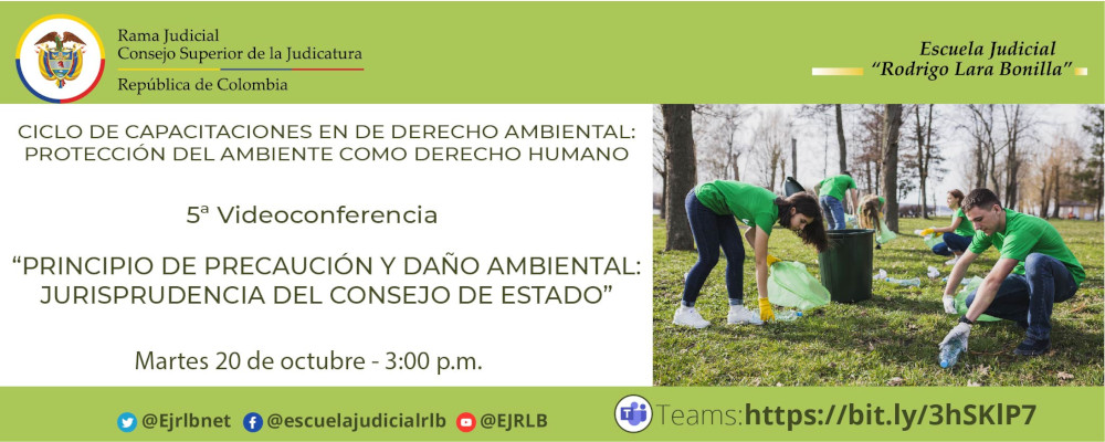  CICLO DE FORMACIÓN EN DERECHO AMBIENTAL: PROTECCION DEL AMBIENTE COMO DERECHO HUMANO    5ª VIDEOCONFERENCIA:  "PRINCIPIO DE PRECAUCIÓN Y DAÑO AMBIENTAL: JURISPRUDENCIA DEL CONSEJO DE ESTADO”