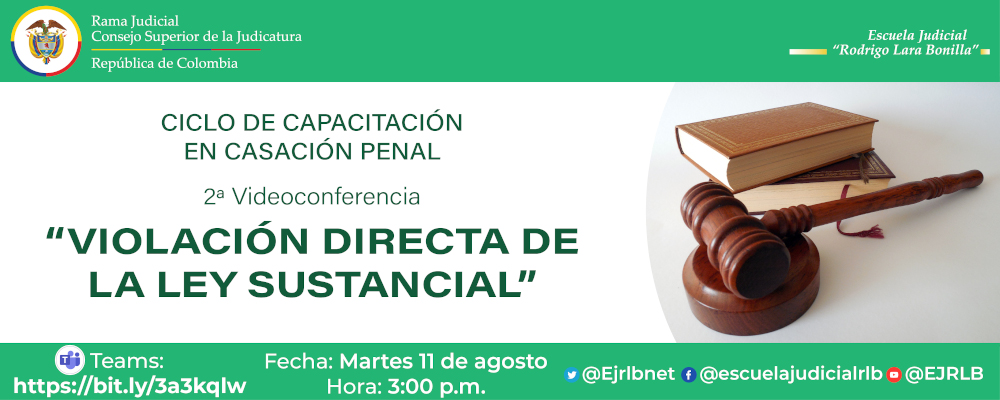 CICLO DE CAPACITACIONES EN CASACIÓN PENAL  2ª VIDEOCONFERENCIA  “VIOLACIÓN DIRECTA DE LA LEY SUSTANCIAL”