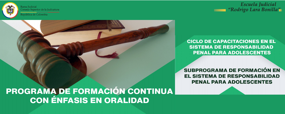 PROGRAMACIÓN  CICLO DE CAPACITACIONES EN  SISTEMA DE RESPONSABILIDAD PENAL PARA ADOLESCENTES
