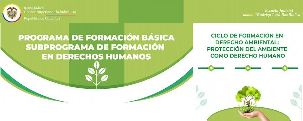 PROGRAMACIÓN   CICLO DE CAPACITACIONES EN DERECHO AMBIENTAL: PROTECCIÓN DEL AMBIENTE COMO DERECHO HUMANO