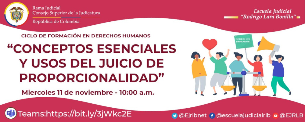 II CICLO DE FORMACIÓN EN DERECHOS HUMANOS  4ª VIDEOCONFERENCIA:  "CONCEPTOS ESENCIALES Y USOS DEL JUICIO DE PROPORCIONALIDAD”