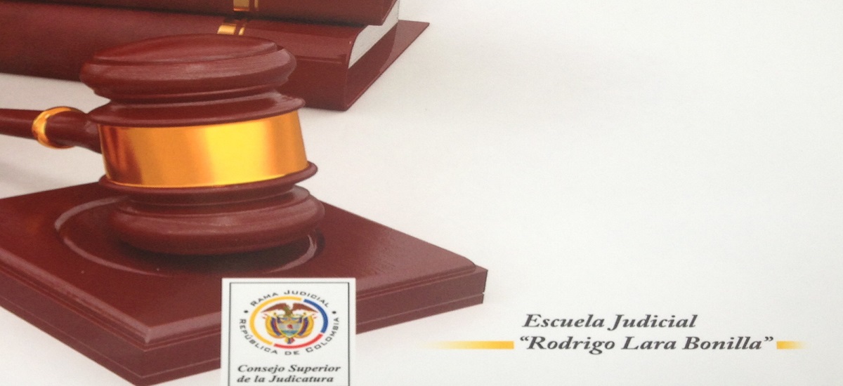 Ley 1098 de 2006, Restablecimiento de Derechos, Adopción