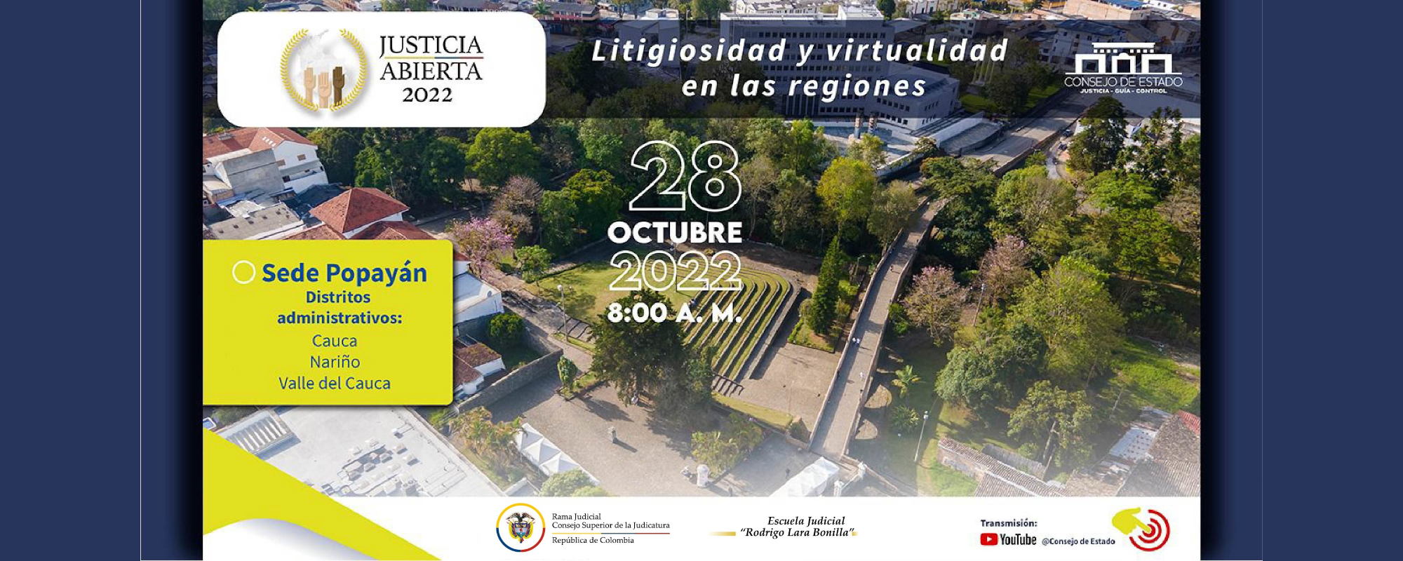 LITIGIOSIDAD Y VIRTUALIDAD EN LAS REGIONES