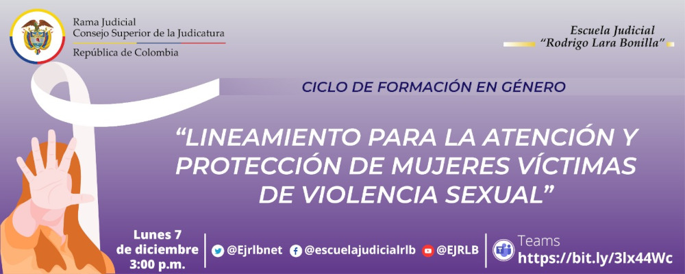 CICLO DE CAPACITACIONES DE FORMACION EN GENERO    Continuación 1a VIDEOCONFERENCIA    “LINEAMIENTOS PARA LA   ATENCION Y PROTECCION DE LAS MUJERES VICTIMAS DE VIOLENCIA SEXUAL” 