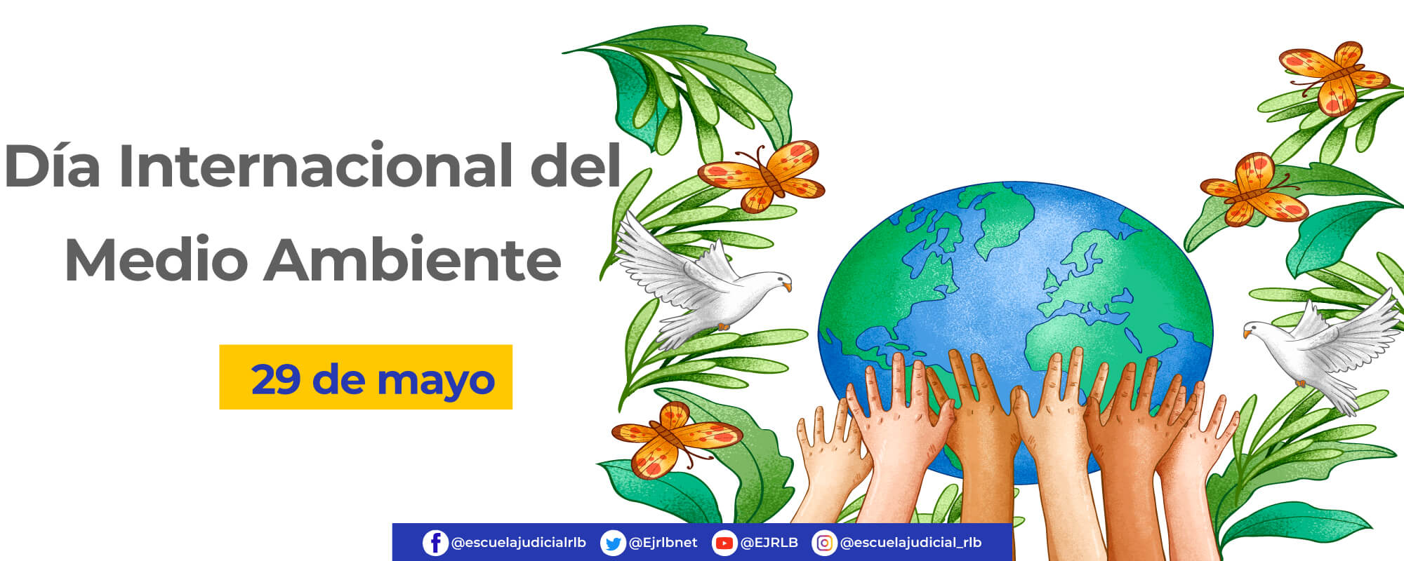 Feliz día internacional del medio ambiente