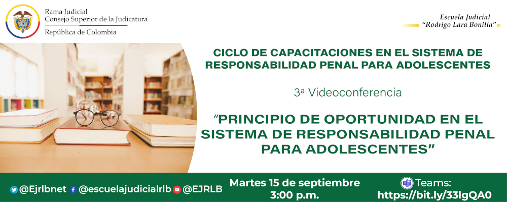 CICLO DE CAPACITACIONES EN SISTEMA DE RESPONSABILIDAD PENAL PARA ADOLESCENTES  3ª VIDEOCONFERENCIA   “PRINCIPIO DE OPORTUNIDAD EN EL SISTEMA DE RESPONSABILIDAD PENAL PARA ADOLESCENTES”