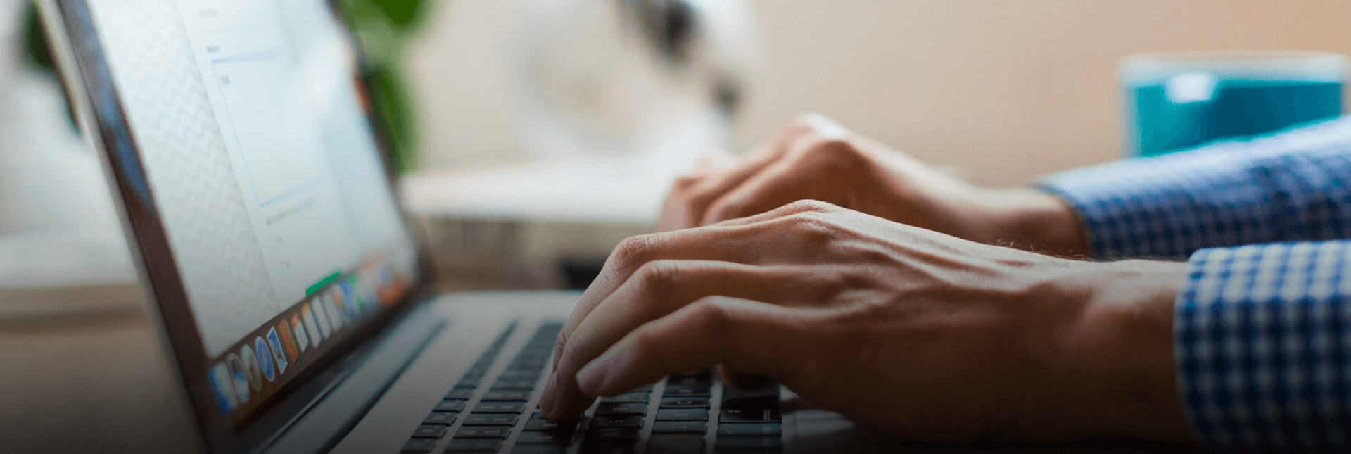 términos y condiciones